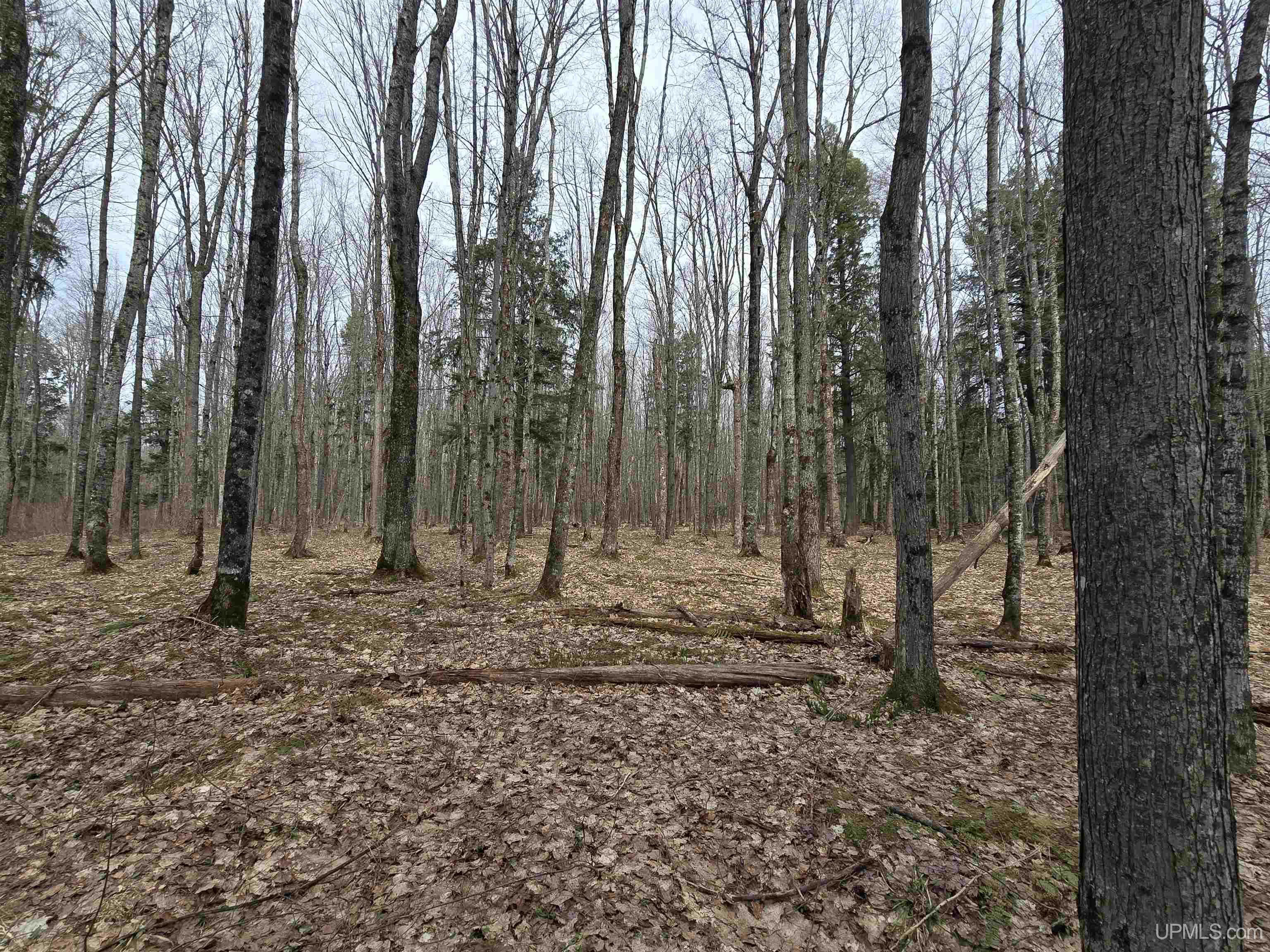 Tbd Orange Road, Unit TBD BLUE ROAD Pelkie, MI 49952 - Photo 26 of 49