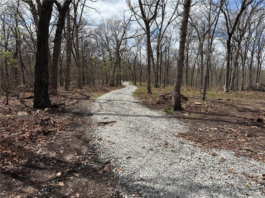 991 Southeast 976 Road Deepwater, MO 64740 - Photo 47 of 79