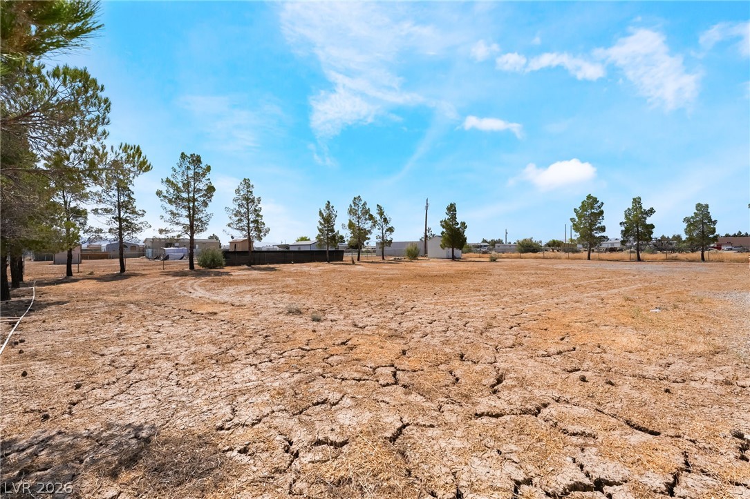 3631 South Blagg Road Pahrump, NV 89048 - Photo 39 of 47 A spacious, undeveloped lot with mature trees offers a blank canvas for future endeavors.