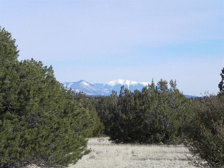 0 Four Hills Ranch Williams, AZ 86046 - Photo 11 of 11 Additional Photo