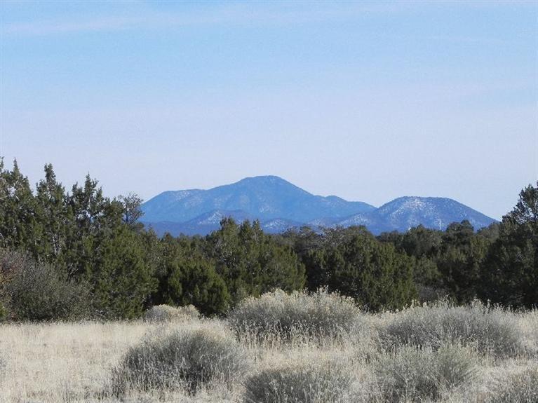 0 Four Hills Ranch Williams, AZ 86046 - Photo 10 of 11 Additional Photo