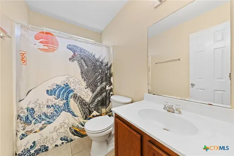 a bathroom with a sink and a toilet