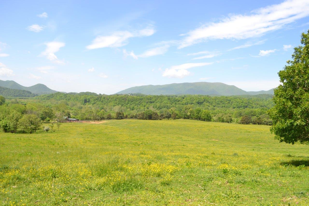 2278 Solitude Road Buchanan, VA 24066 - Photo 1 of 46 Main photo