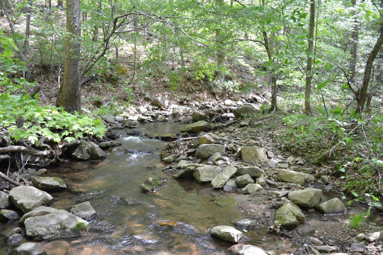 2278 Solitude Road Buchanan, VA 24066 - Photo 16 of 46 DSC_0377