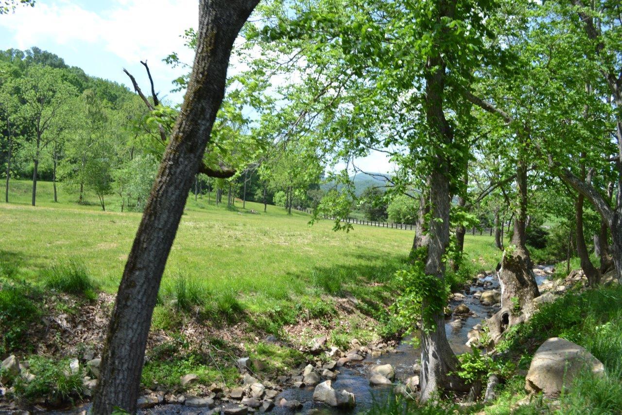 2278 Solitude Road Buchanan, VA 24066 - Photo 20 of 46 DSC_0390