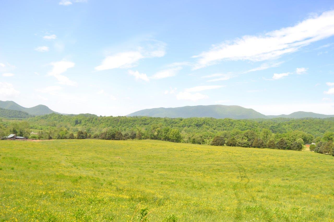 2278 Solitude Road Buchanan, VA 24066 - Photo 23 of 46 DSC_0393