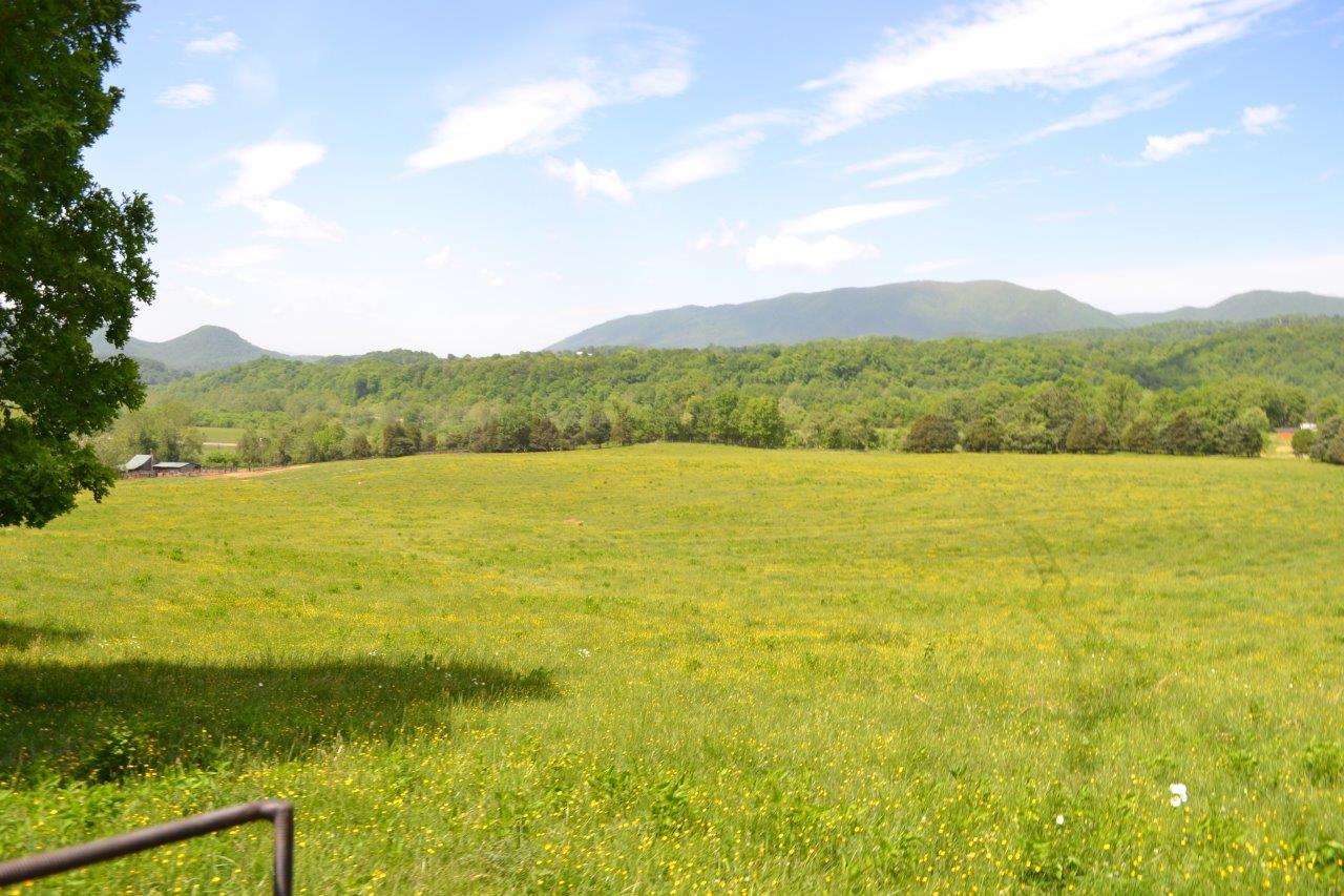 2278 Solitude Road Buchanan, VA 24066 - Photo 24 of 46 DSC_0395