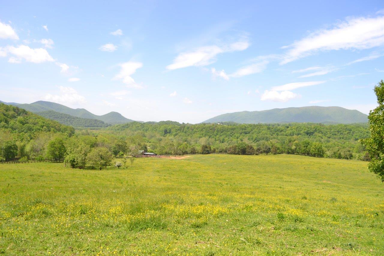 2278 Solitude Road Buchanan, VA 24066 - Photo 25 of 46 DSC_0397