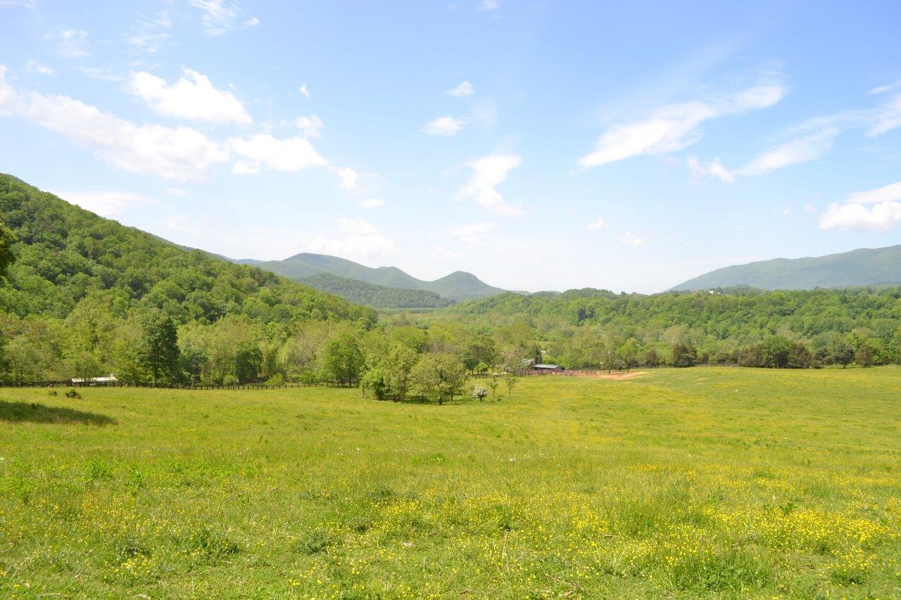 2278 Solitude Road Buchanan, VA 24066 - Photo 26 of 46 DSC_0400