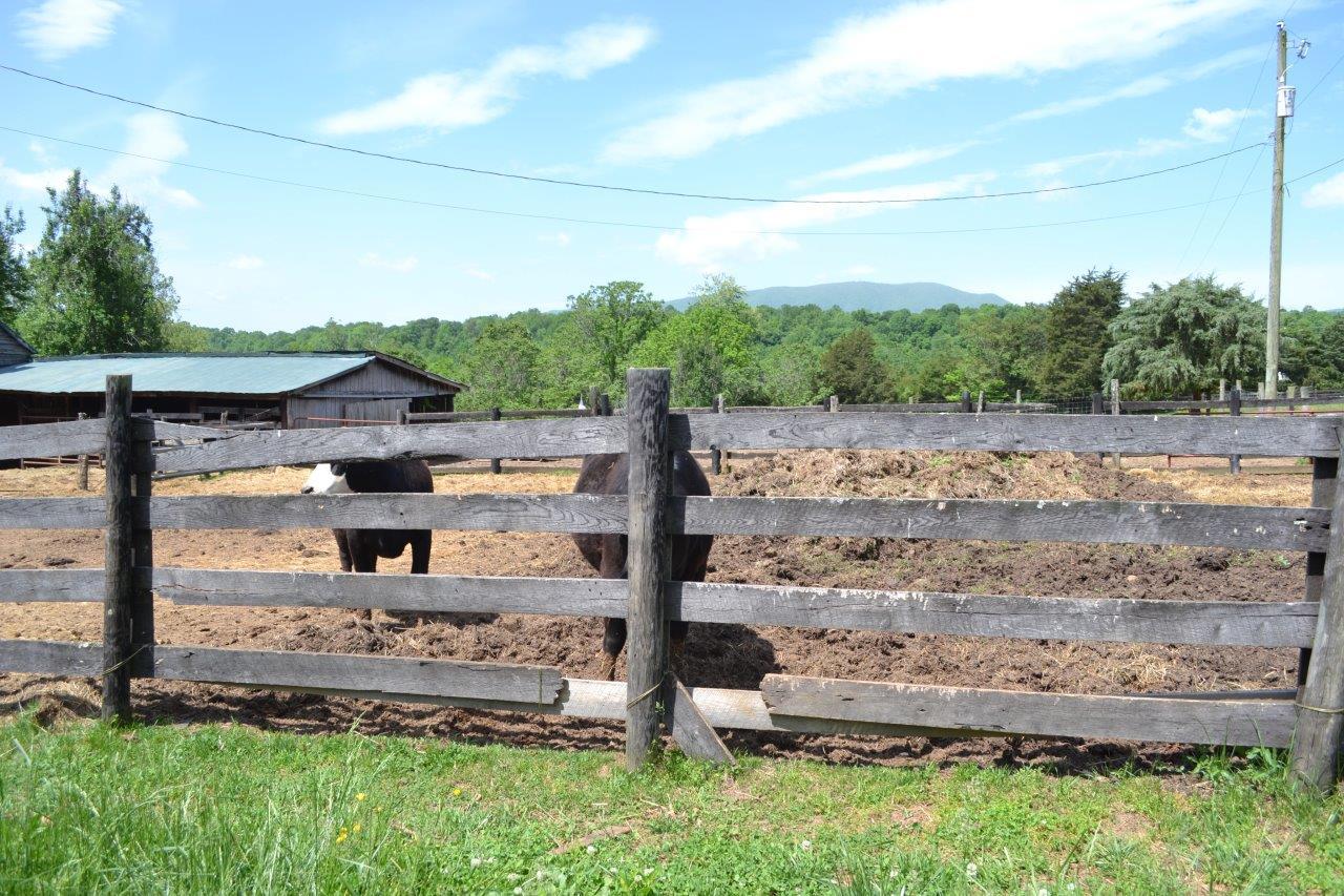 2278 Solitude Road Buchanan, VA 24066 - Photo 27 of 46 DSC_0406