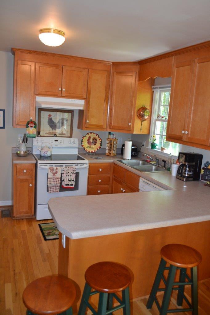 2278 Solitude Road Buchanan, VA 24066 - Photo 42 of 46 DSC_0433
