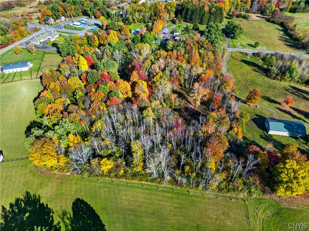 8439 State Rte 3 Pulaski, NY 13142 - Photo 12 of 12