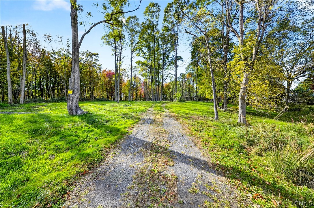 8439 State Rte 3 Pulaski, NY 13142 - Photo 3 of 12