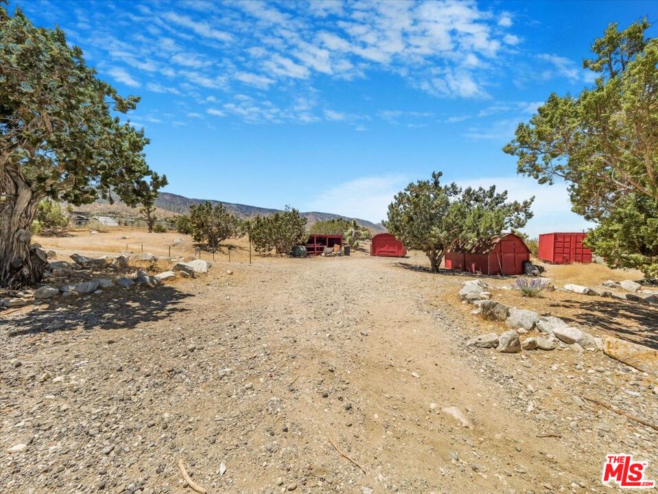 9446 Green Road Pinon Hills, CA 92372 - Photo 14 of 24 a view of yard covered with snow in front of house