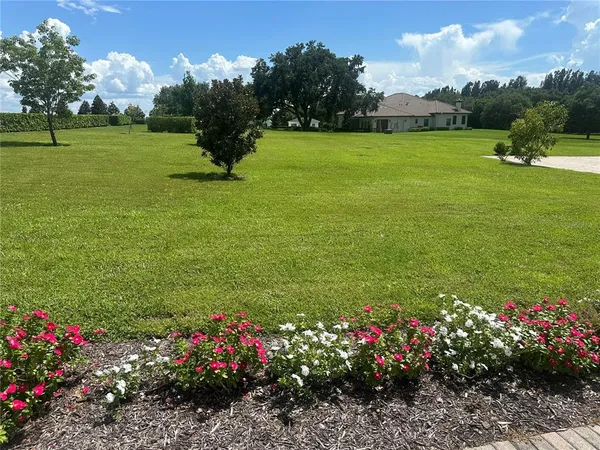a view of a garden with flowers and trees