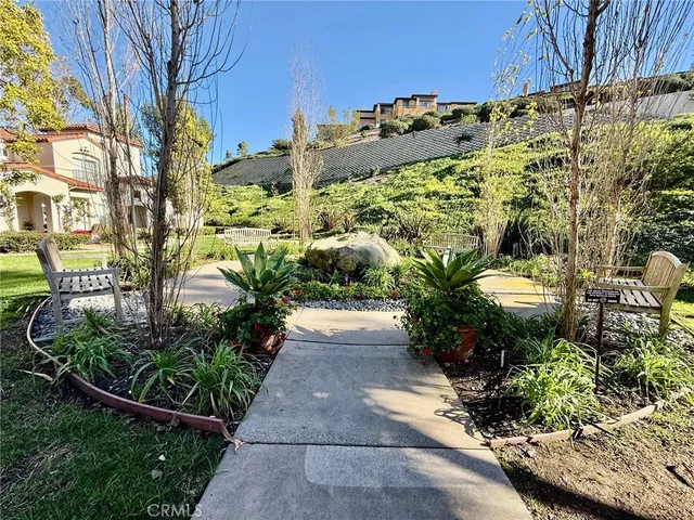 a view of a pathway with flower plants