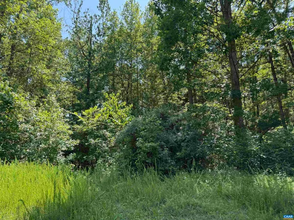 a view of a lush green space
