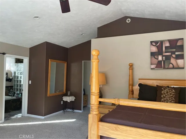 a view of backyard with tree