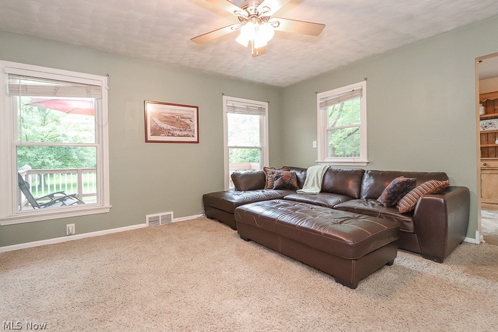 5214 East Farnhurst Road Cleveland, OH 44124 - Photo 7 of 32 Spacious family room has lots of light and overlooks the backyard.
