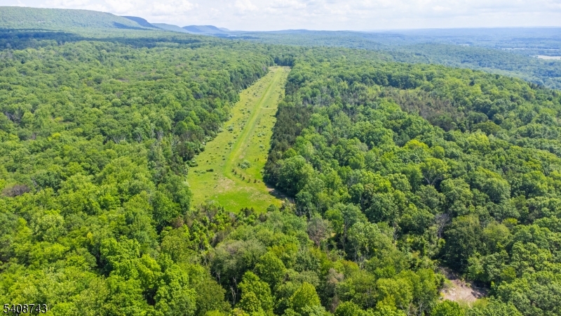 62 Mt Pleasant Road Columbia, NJ 07832 - Photo 4 of 46 a view of a lush green forest with trees and some houses