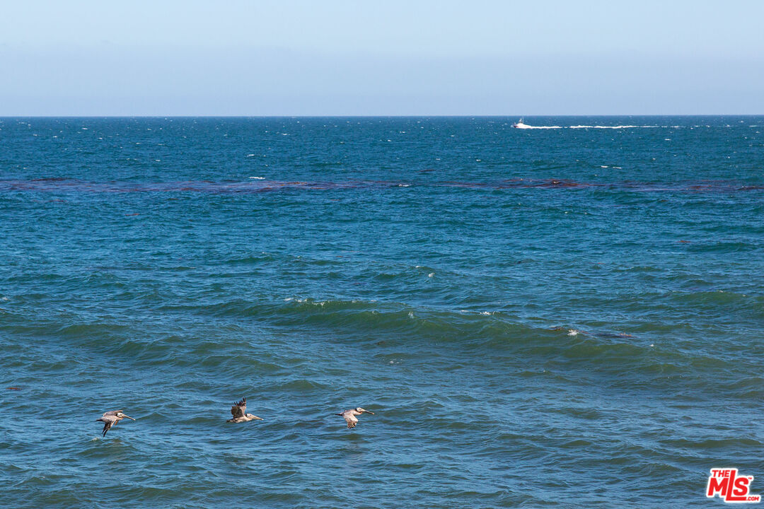 24222 Malibu Road Malibu, CA 90265 - Photo 19 of 34