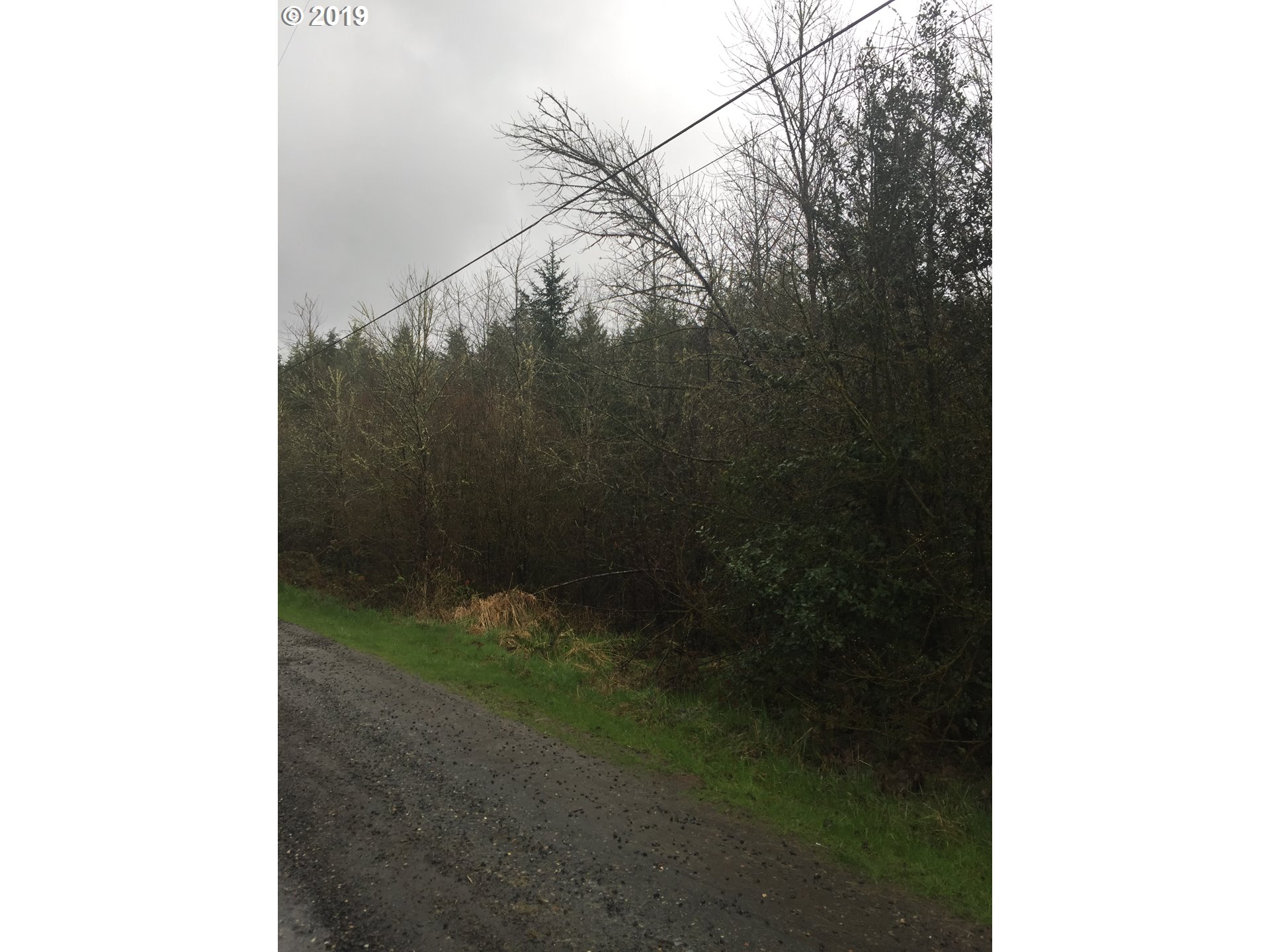 Baldwin Road Rainier, OR 97048 - Photo 3 of 10 Gallery Image 3