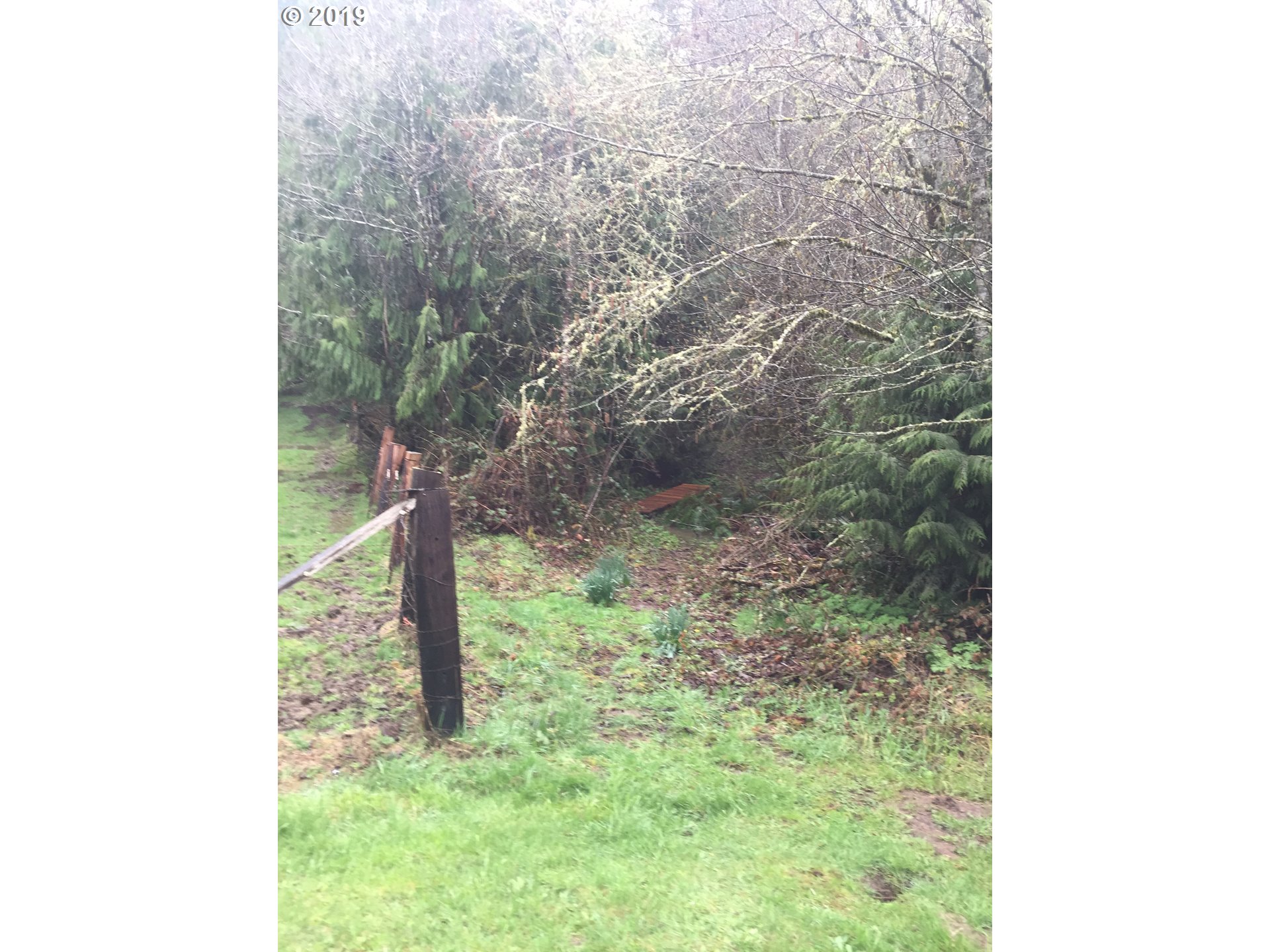 Baldwin Road Rainier, OR 97048 - Photo 4 of 10 Gallery Image 4