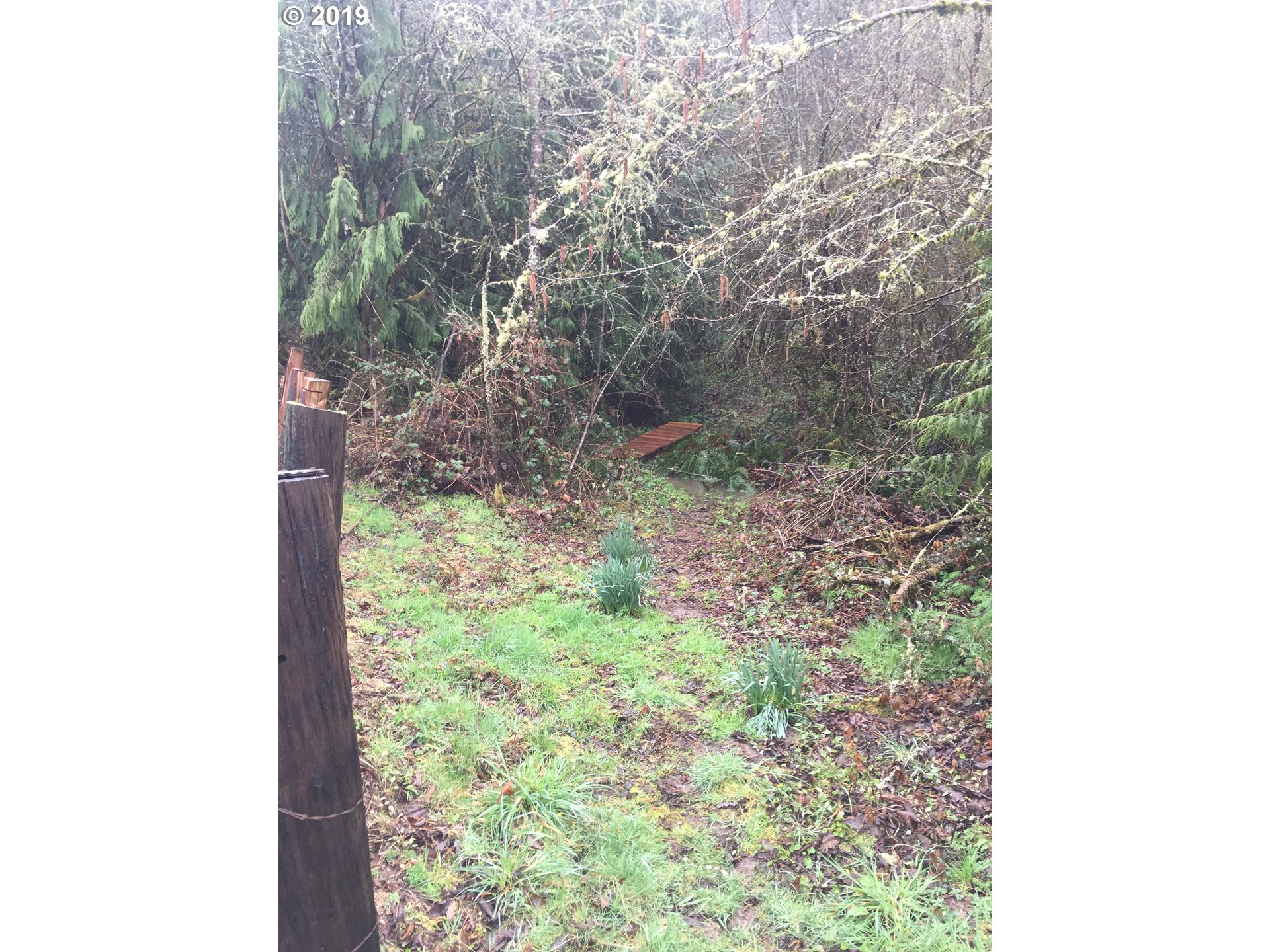 Baldwin Road Rainier, OR 97048 - Photo 5 of 10 Gallery Image 5