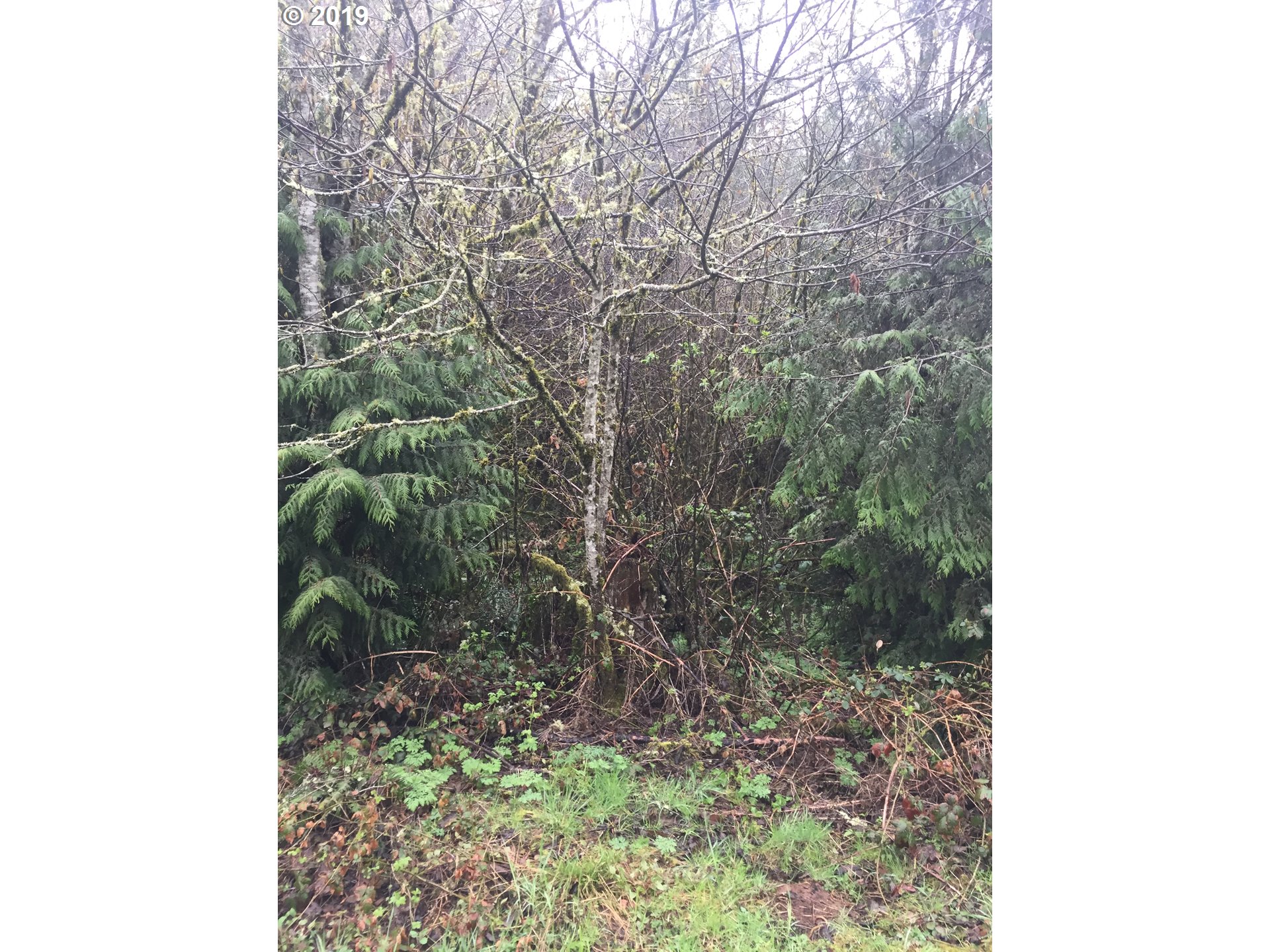 Baldwin Road Rainier, OR 97048 - Photo 6 of 10 Gallery Image 6