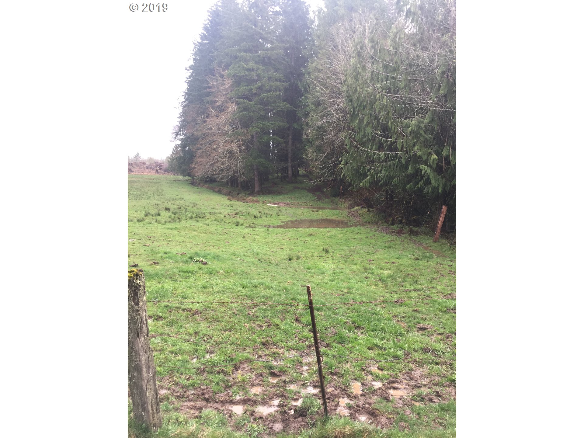 Baldwin Road Rainier, OR 97048 - Photo 7 of 10 Gallery Image 7