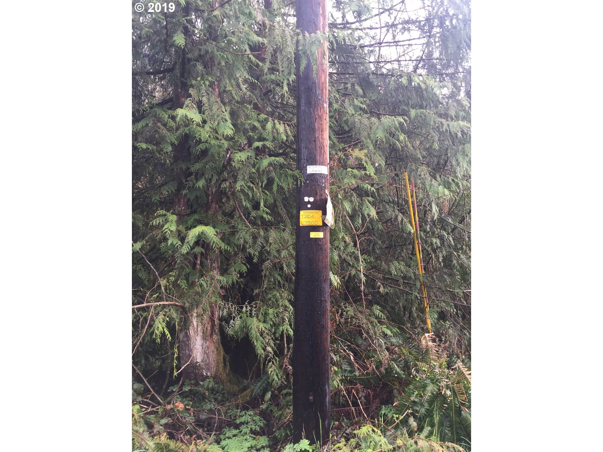 Baldwin Road Rainier, OR 97048 - Photo 10 of 10 Gallery Image 10