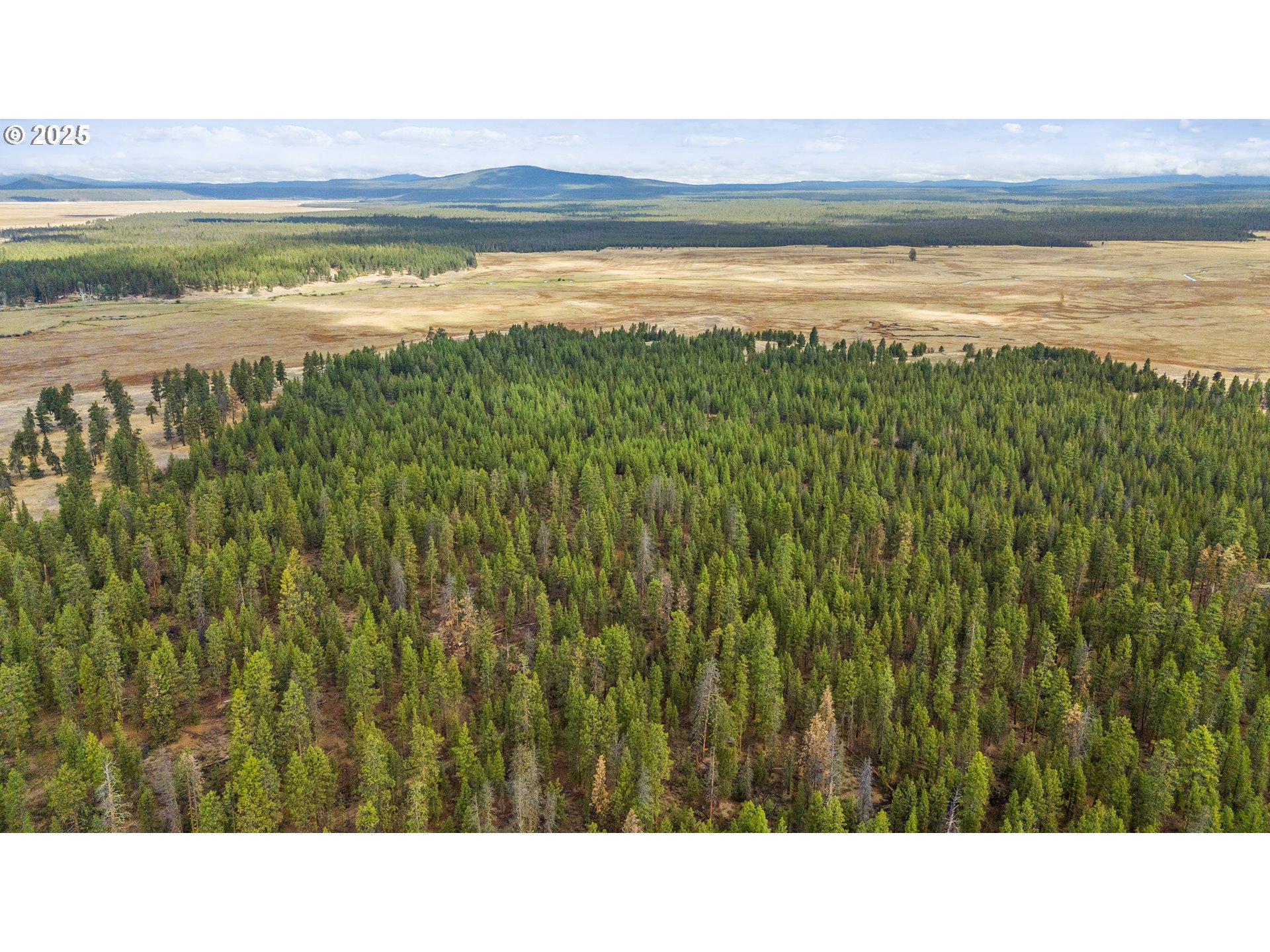 Bare Land Chiloquin, OR 97624 - Photo 1 of 25