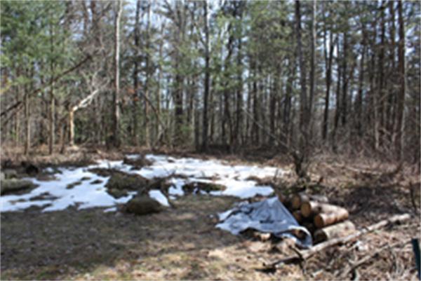 864 Old Coldbrook Road, Unit 1A Barre, MA 01005 - Photo 4 of 28