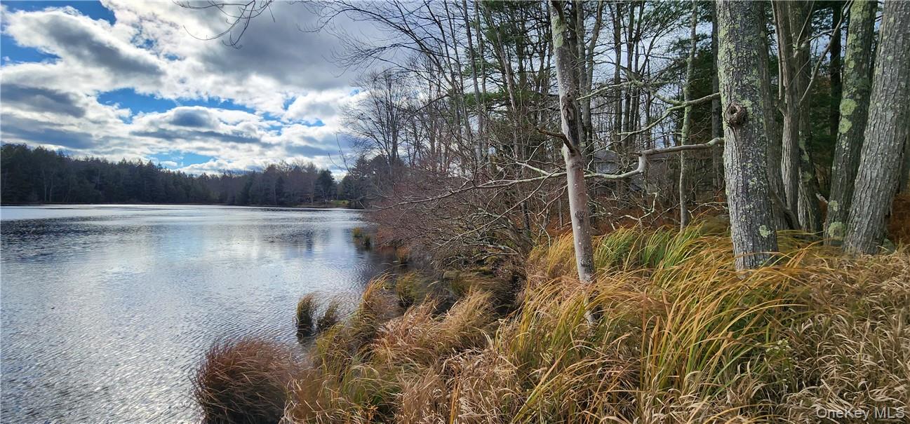 Mongaup Road Monticello, NY 12701 - Photo 11 of 12