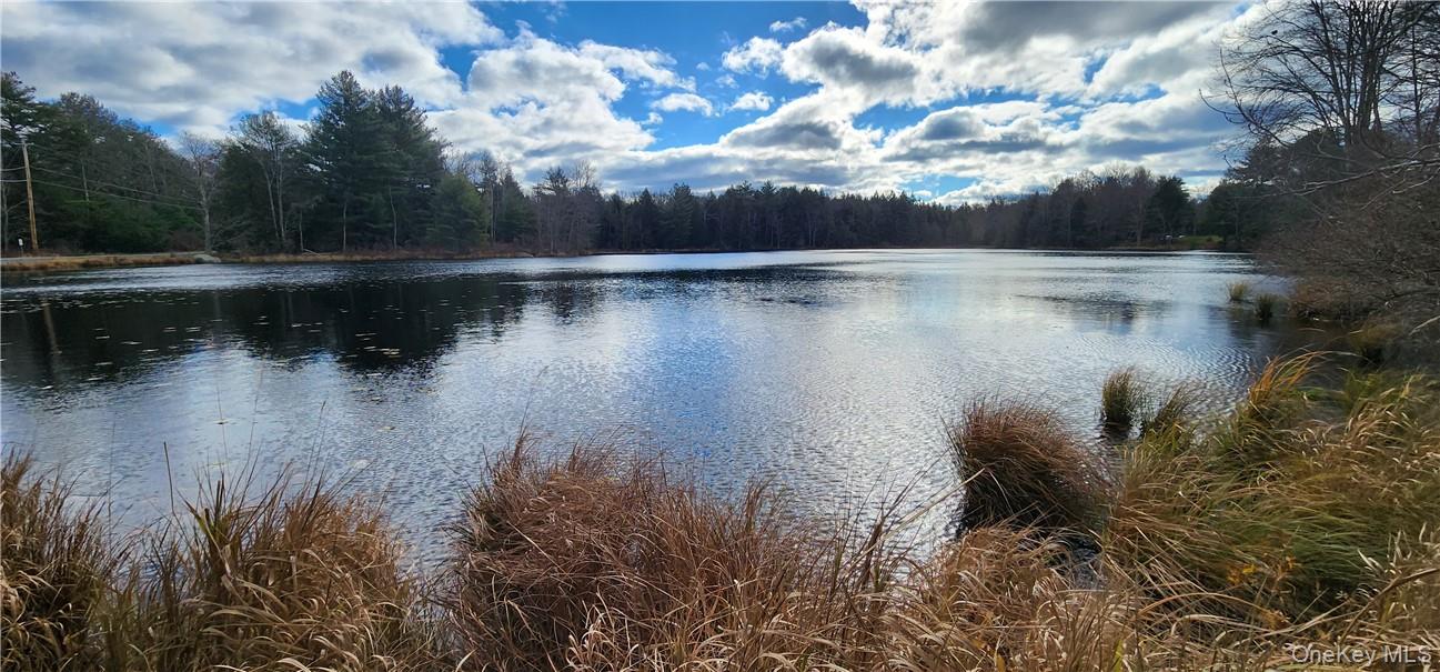 Mongaup Road Monticello, NY 12701 - Photo 12 of 12 a view of lake