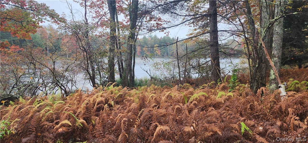 Mongaup Road Monticello, NY 12701 - Photo 2 of 12 a backyard of a house with lots of green space