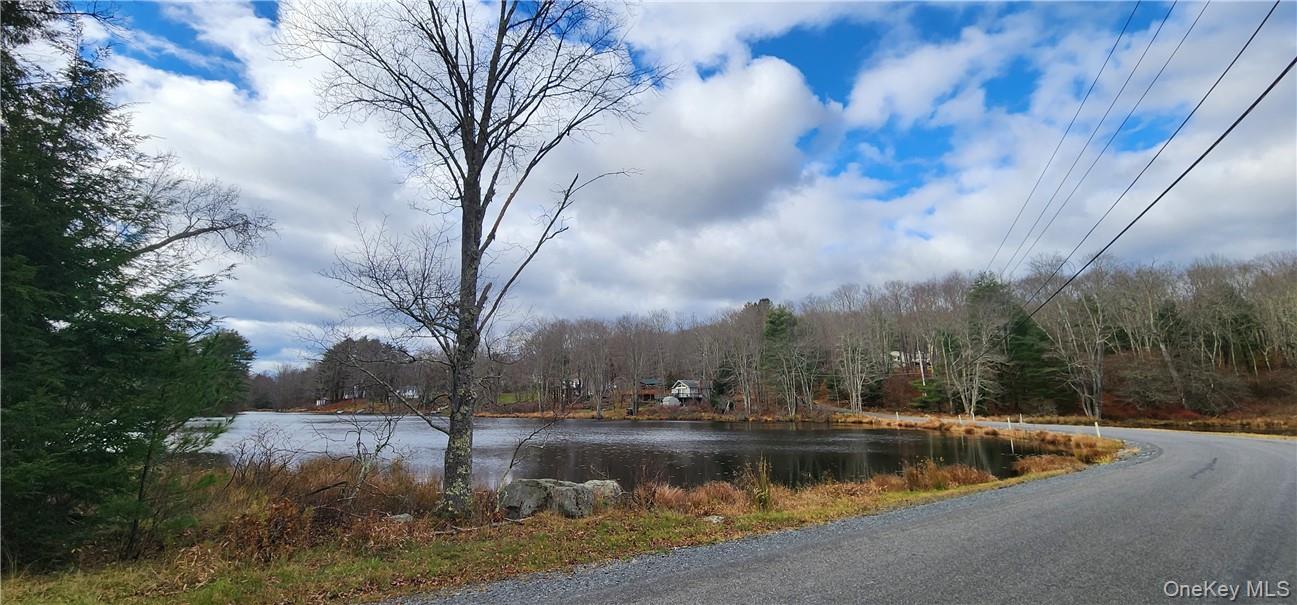 Mongaup Road Monticello, NY 12701 - Photo 4 of 12 a view of river covered with snow in back yard