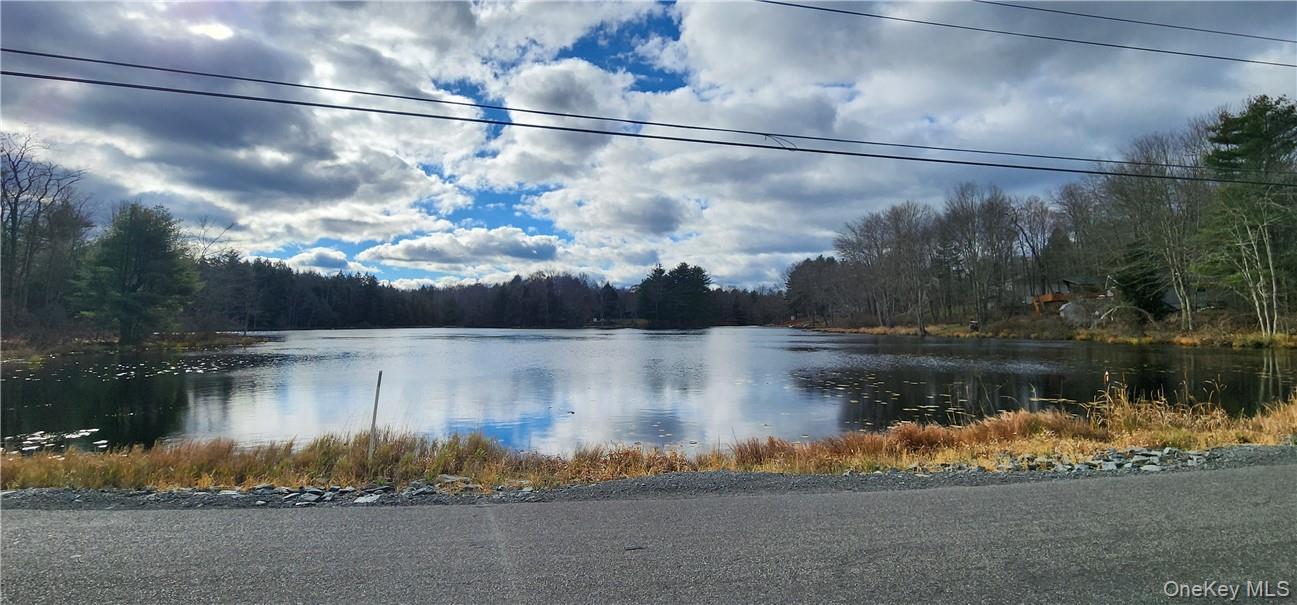 Mongaup Road Monticello, NY 12701 - Photo 5 of 12