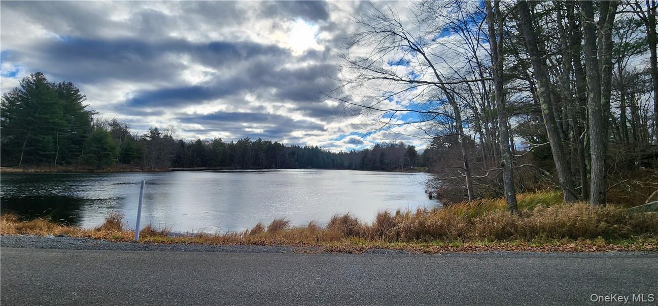 Mongaup Road Monticello, NY 12701 - Photo 6 of 12 a view of lake