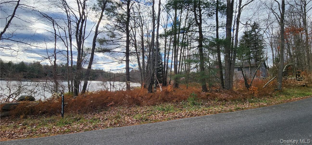 Mongaup Road Monticello, NY 12701 - Photo 7 of 12 a backyard of a house with lots of green space