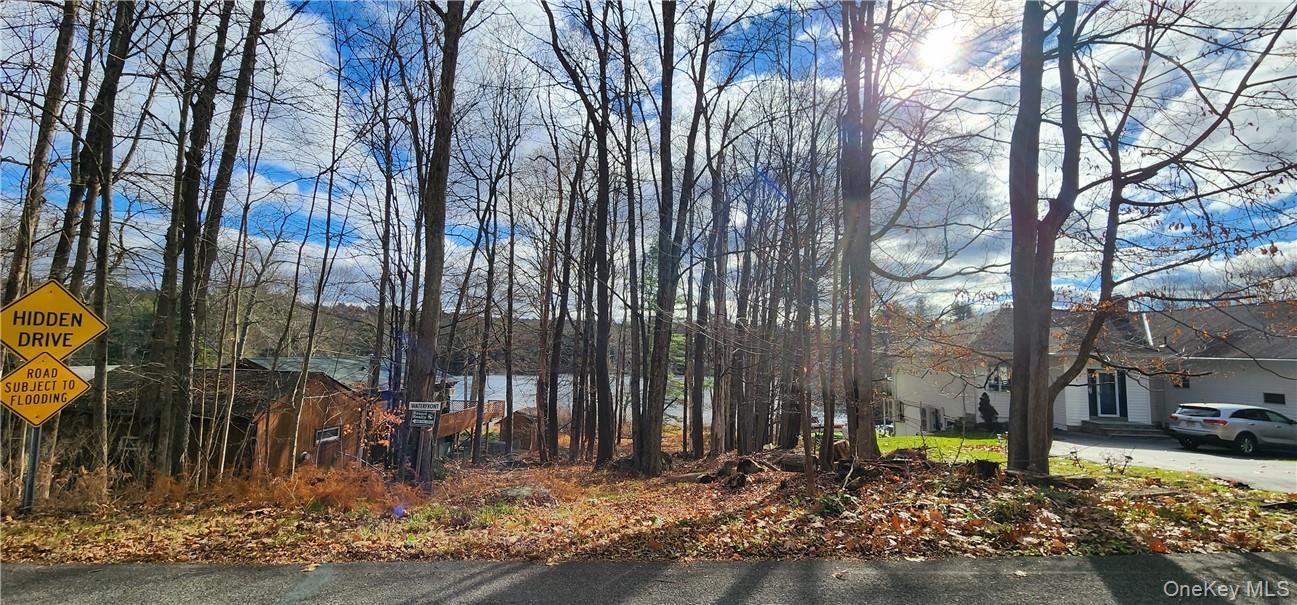 Mongaup Road Monticello, NY 12701 - Photo 8 of 12 a view of a park with large trees