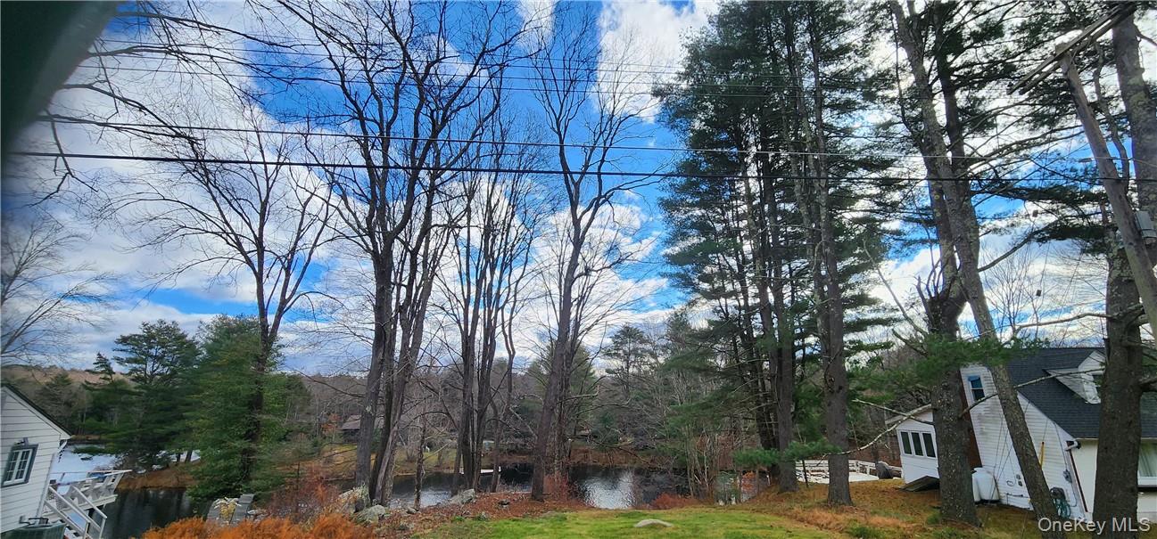 Mongaup Road Monticello, NY 12701 - Photo 9 of 12 a view of a park with large trees