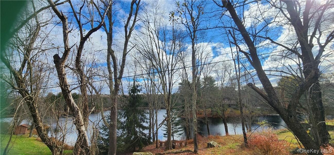 Mongaup Road Monticello, NY 12701 - Photo 10 of 12 a view of a forest