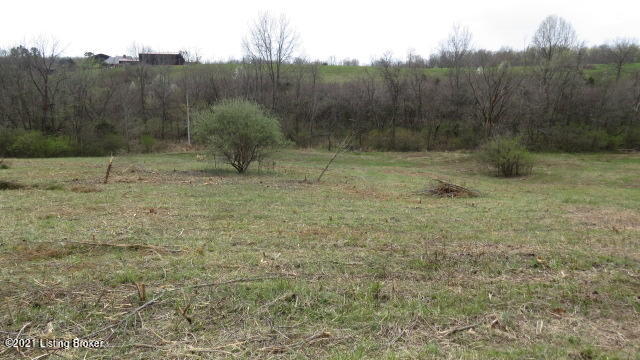 2 Herndon Road Lawrenceburg, KY 40342 - Photo 8 of 11 IMG_4892