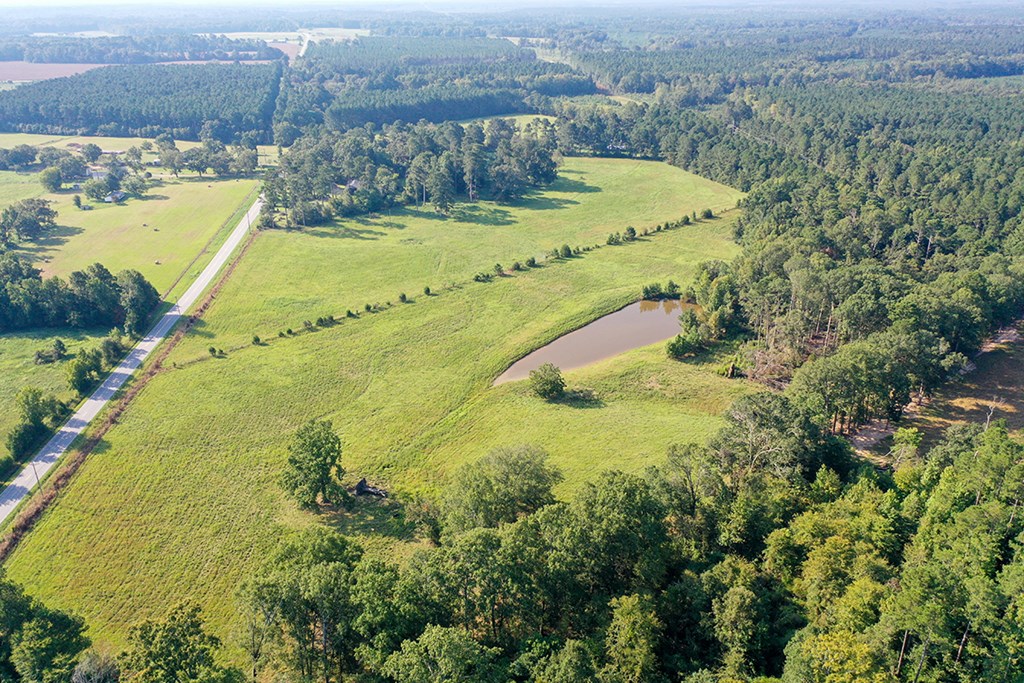 6163 Fruit Hill Road Saluda, SC 29138 - Photo 7 of 17 Gallery Image 7