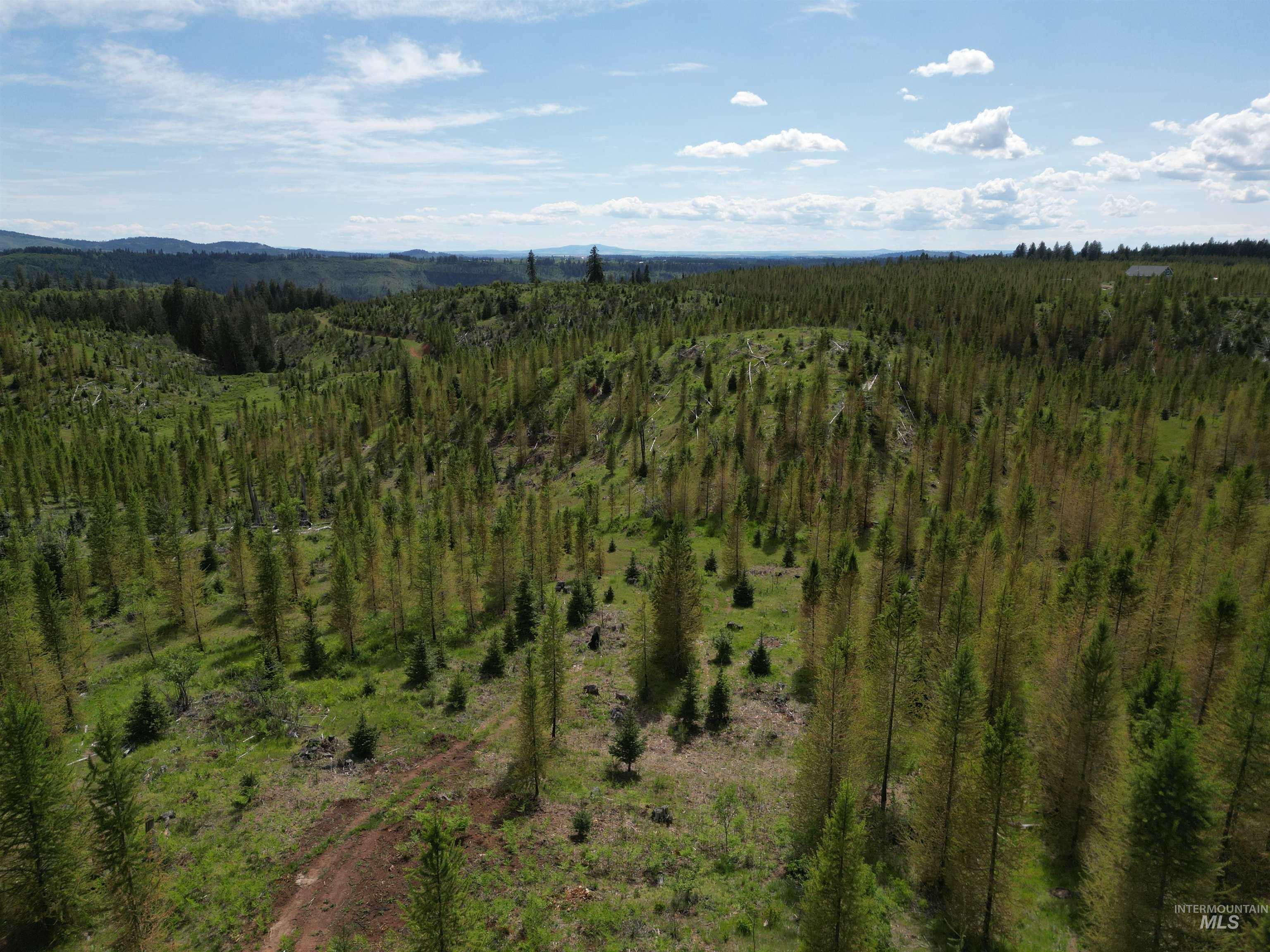 11970 Upper Fords Creek Road Orofino, ID 83544 - Photo 41 of 41