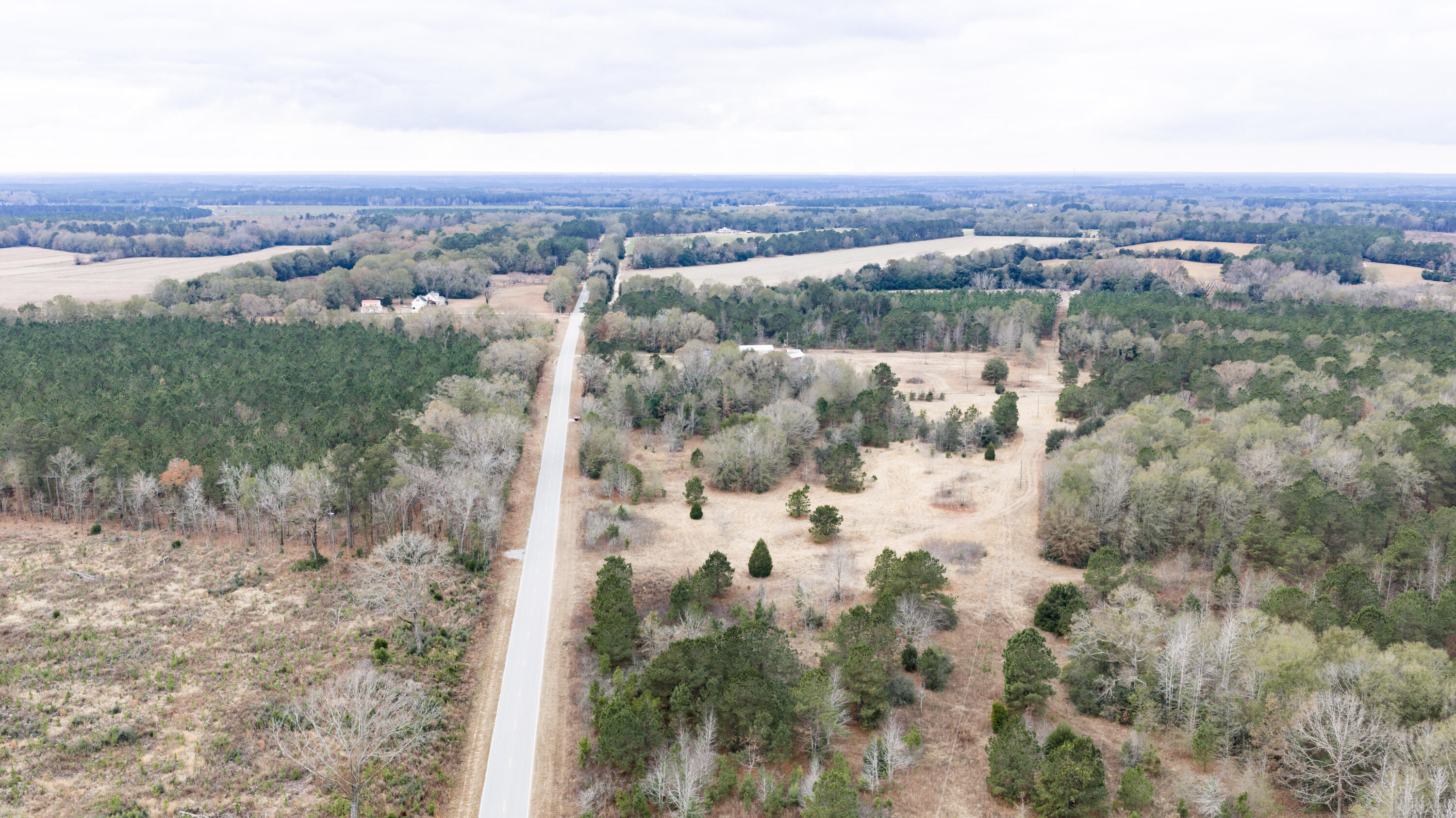 0 Orchard Road Williston, SC 29853 - Photo 7 of 20 Gallery Image 7