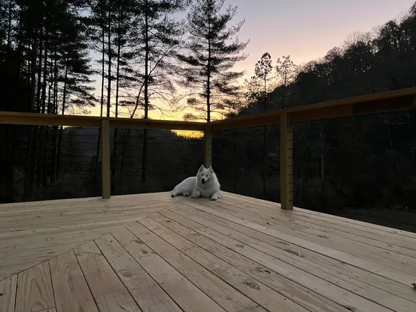 $469,000 | 656 Wildlife Drive, Lost City, WV 26810