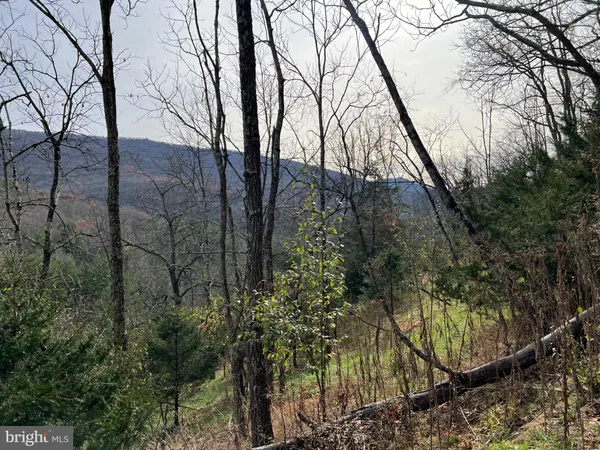 $469,000 | 656 Wildlife Drive, Lost City, WV 26810