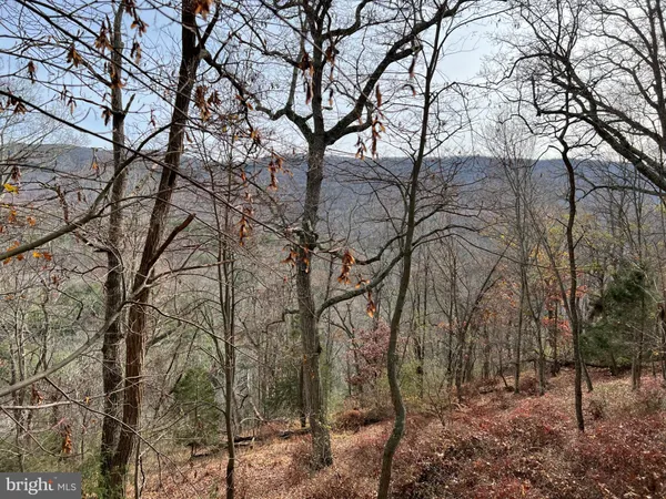 $469,000 | 656 Wildlife Drive, Lost City, WV 26810